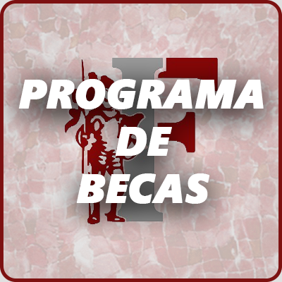 6 PROGRAMA DE BECAS