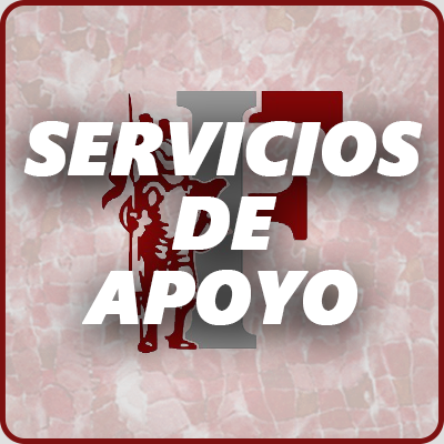 9 SERVICIOS DE APOYO